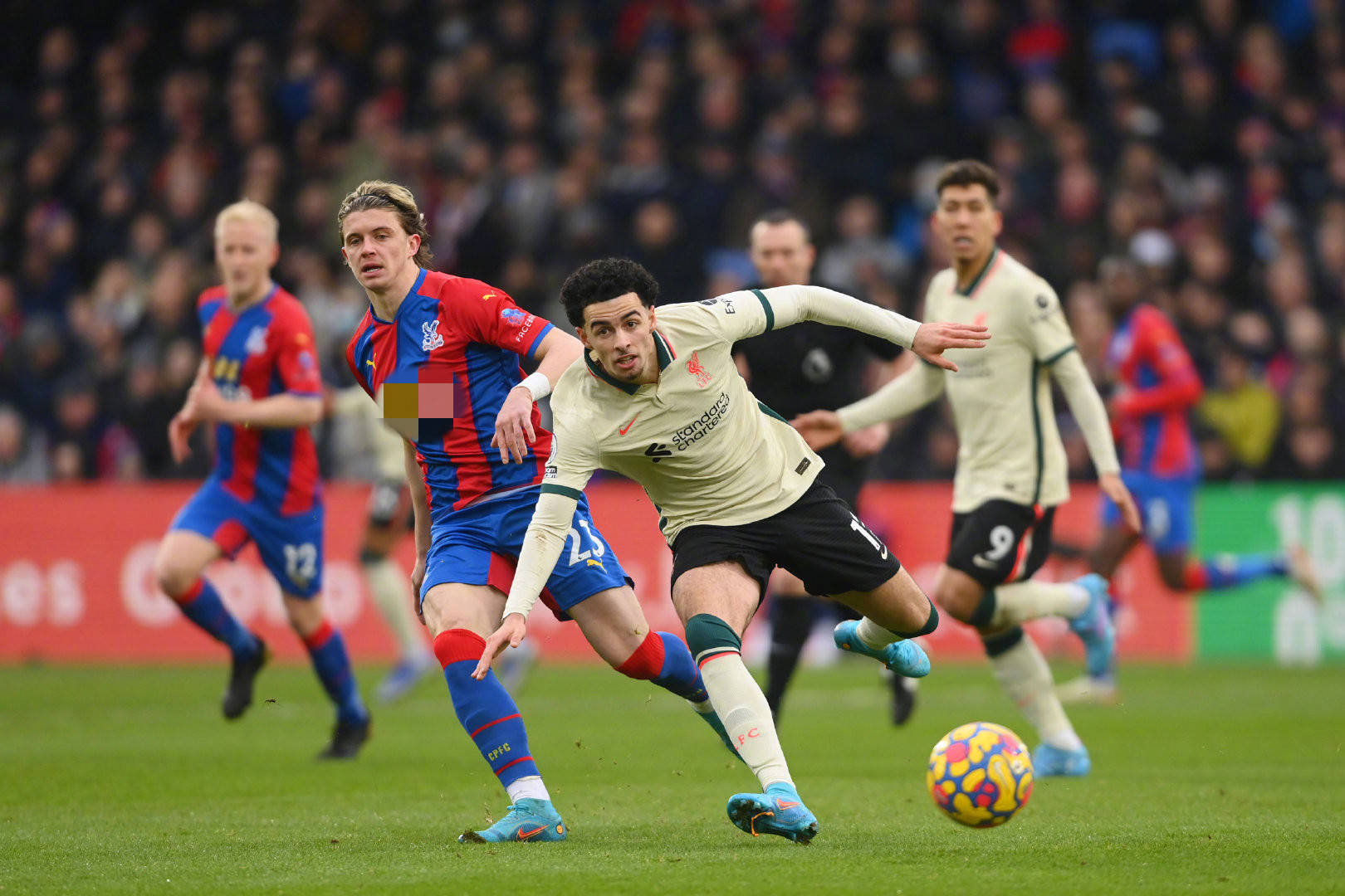 这一决定虽 这一决定虽